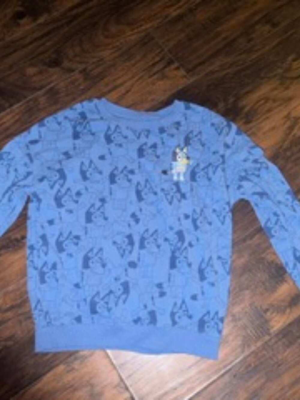 Bluey Print Cozy Graphic Sweathsirt